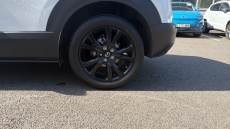 Mazda CX-30 2.0 e-Skyactiv X MHEV Homura 5dr Auto [Sunroof] Petrol Hatchback